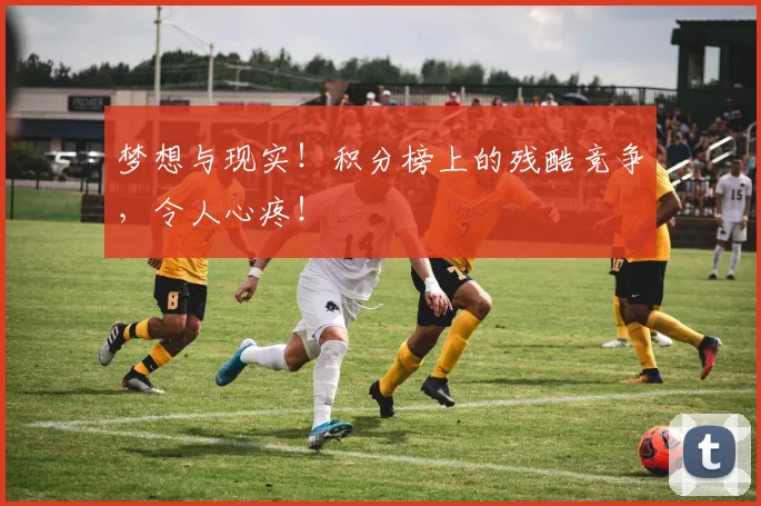 梦想与现实！积分榜上的残酷竞争，令人心疼！